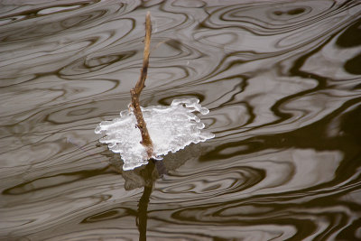 POND AND ICE