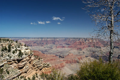 GRAND CANYON