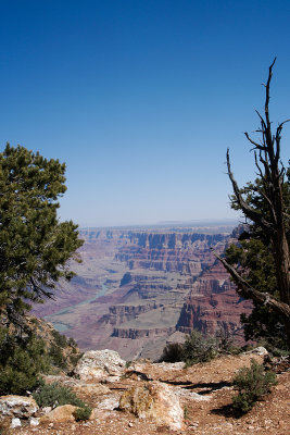 GRAND CANYON