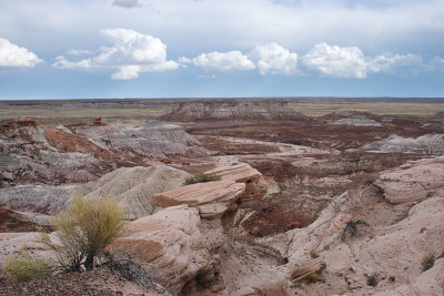 PETRIFIED FOREST/PAINTED DESERT