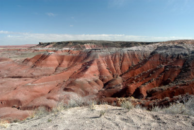 PETRIFIED FOREST/PAINTED DESERT