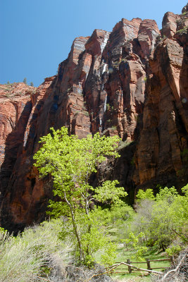 ZION N.P.