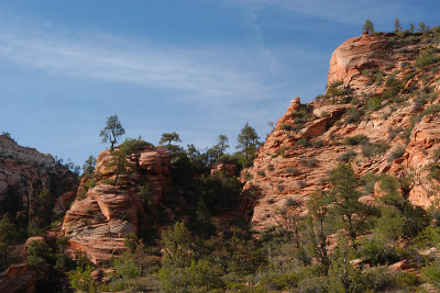 ZION N.P.