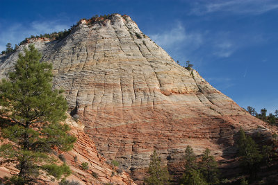 CHECKERBOARD MESA