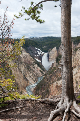 LOWER YELLOWSTONE FALLS