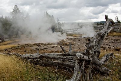 YELLOWSTONE STEAM VENT