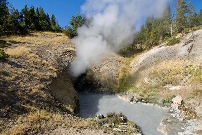 YELLOWSTONE STEAM VENT