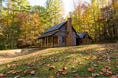 HENRY WHITEHEAD CABIN, CADES COVE