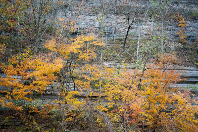 SHAKERTOWN BOAT RIDE