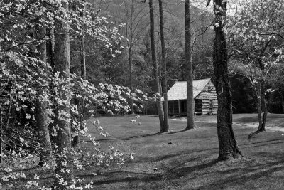CARTER SHIELD'S CABIN, GREAT SMOKY MOUNTAINS