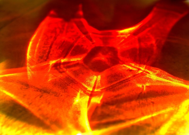 Free Energy.jpg