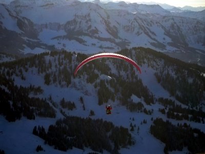 Paragliding vom Hochgrat II.jpg