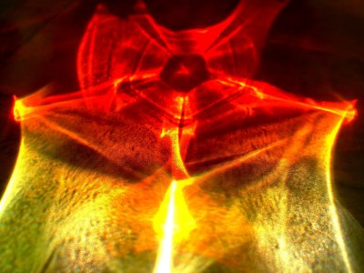Free Energy II