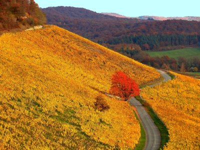 Rund um den Schwanberg