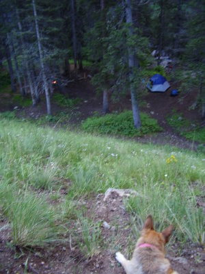 Looking Down at Campsite 1
