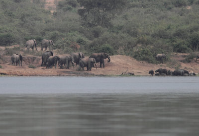 Queen Elizabeth National Park