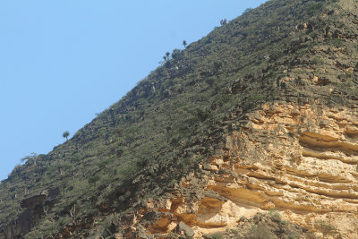 Jabal Al Qamar, Dhofar