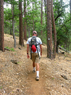 A day hike on PCT Section N