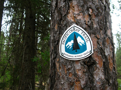PCT Marker
