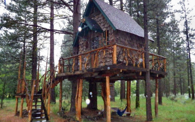 Rainy Treehouse