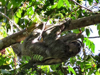 Manuel Antonio, Costa Rica