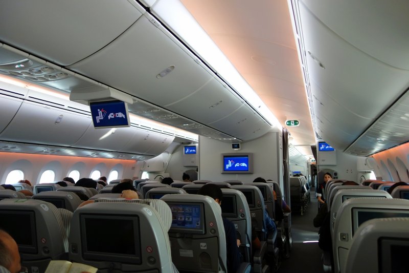 Japan Airlines 787 Interior