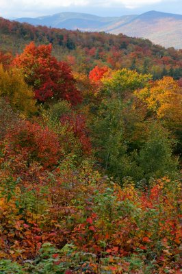 Bear Notch Road Lookout