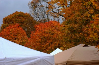 Tents at Newfane Festival
