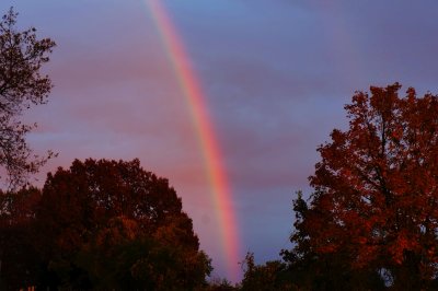 Fall Rainbow