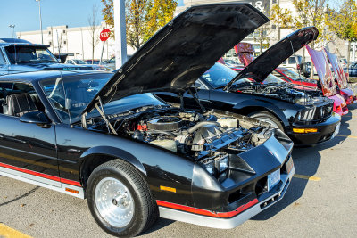 DSC_2332.JPG