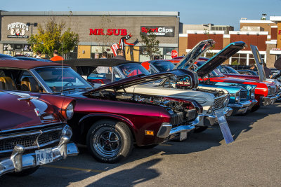 DSC_2426.JPG