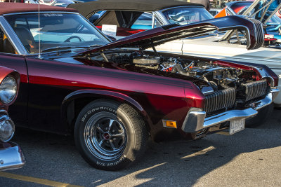 DSC_2428.JPG
