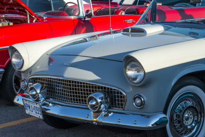 DSC_2499.JPG
