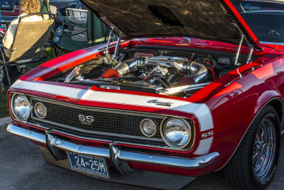 DSC_2511.JPG