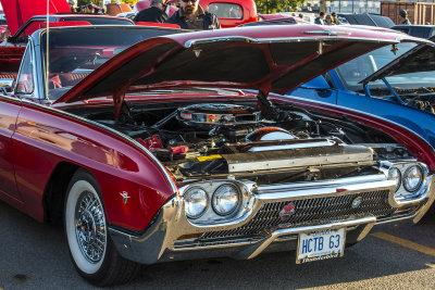DSC_2518.JPG