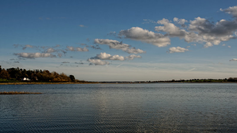 early evening 