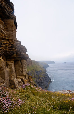 The Hanging Gardens of Porthtowan 1