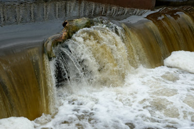 a log caught on the edge of the weir