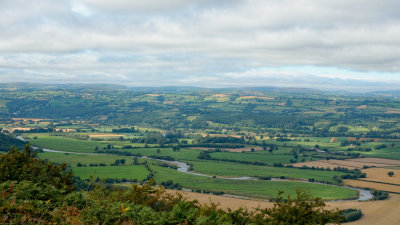 Wye meanders and oxbows