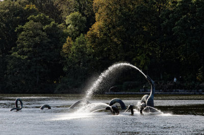 Lake monsters of Llandrindod Wells