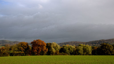 the valley in autumn - 1