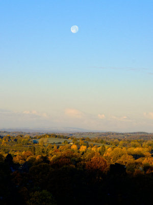 autumn moon