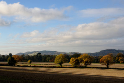 autumn fields