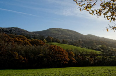 Worcestershire Beacon from Bank farm