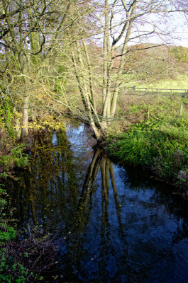 The Cradley Brook at Mathon