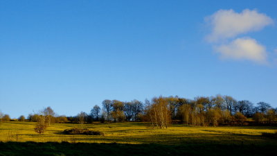 Bromyard Downs