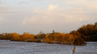 Worcester cathedral above flood waters