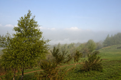 Malvern Hills with dispersing fog