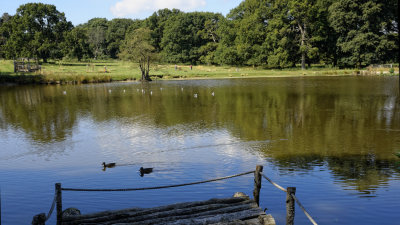 the lake with disused jetty