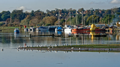 Melton boatyard